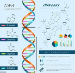 斯蒂芬森解码基因 揭开世界主要疾病