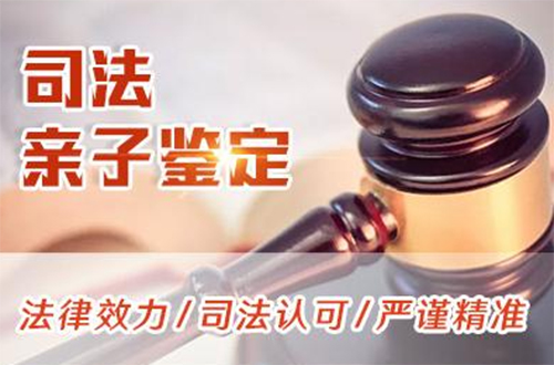 达州司法亲子鉴定详细流程及材料,达州司法亲子鉴定咨询预约