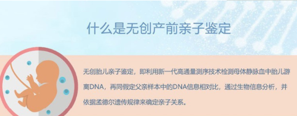 怀孕几个月赣州如何做孕期亲子鉴定,赣州办理孕期亲子鉴定准确率高吗