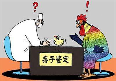 武汉哪里有可以做亲子鉴定的地方？需要多少钱？