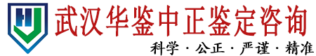 华鉴中正亲子鉴定中心